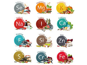 A quoi servent les minéraux et les oligoéléments ?