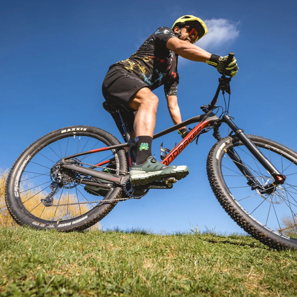Rainbows - Paire de Chaussettes - Emily the Frog