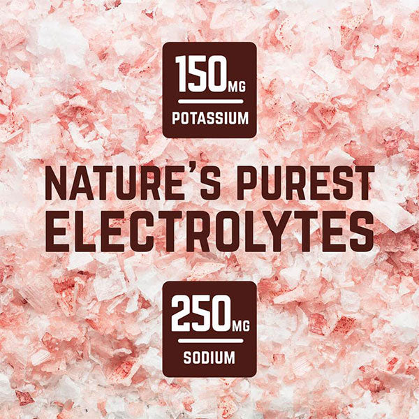 Nutri-bay | VELOFORTE Nova - Recovery Protein Shake( 67g)