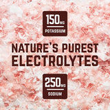 Nutri-bay | VELOFORTE Nova - Recovery Protein Shake( 67g)