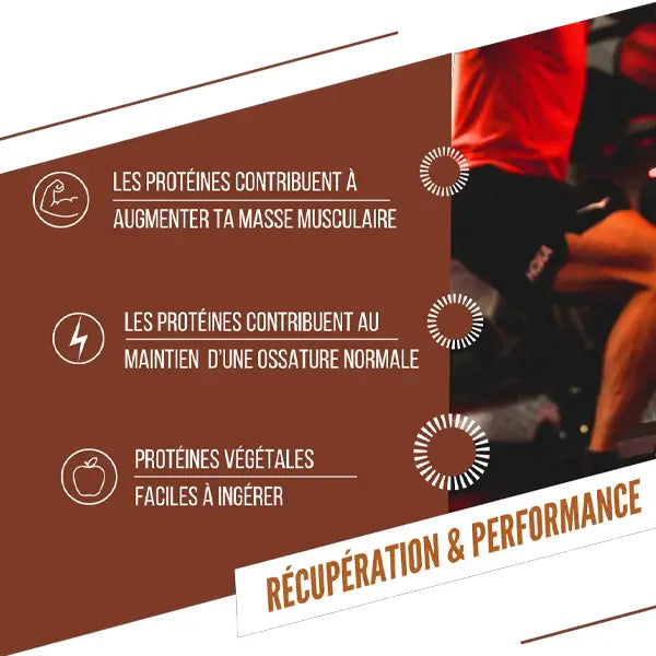 Baouw Barre Protéinée BIO (50g) - Caramel & Pécan