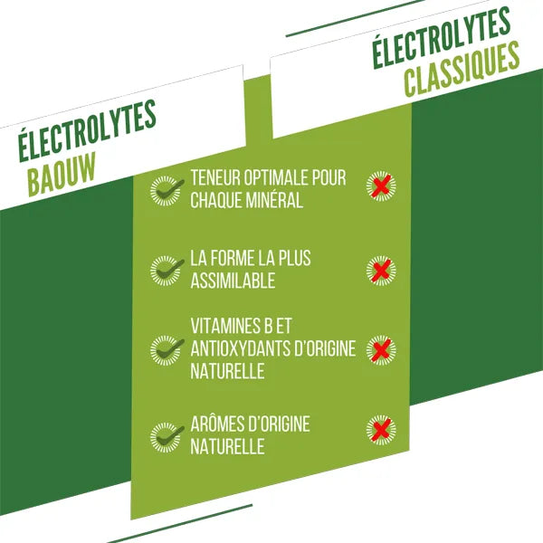 Baouw Pastilles d'Électrolytes (10x5g) - Citron Vert & Menthe