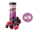 Baouw Pastilles d'Électrolytes Box (9 tubes) - Goût au choix