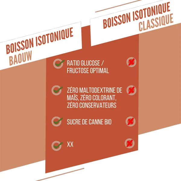 Baouw Boisson Énergétique (585g) - Pêche & Romarin