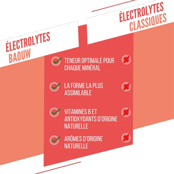 Baouw Pastilles d'Électrolytes (10x5g) - Pêche & Passion