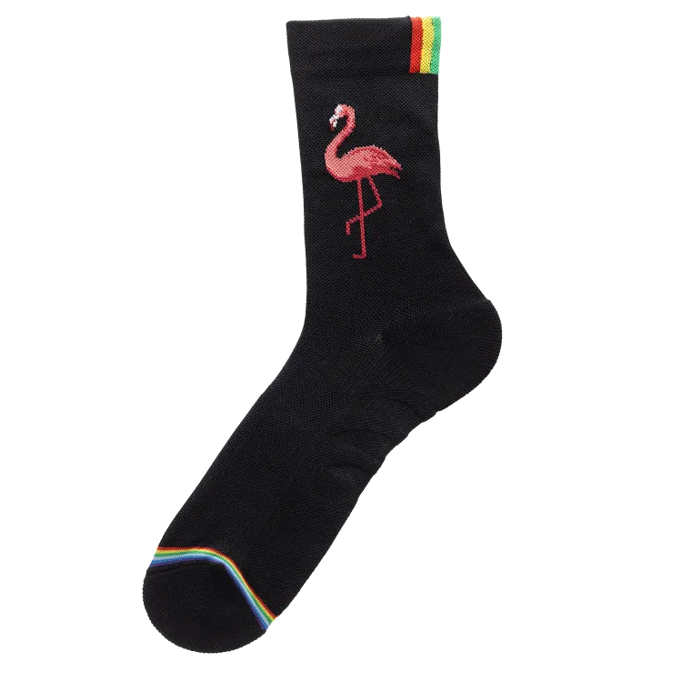 Rainbows Paire de Chaussettes - Rosa the Flamingo