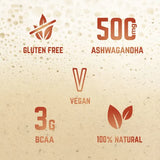 Molto - Recovery Protein Shake (36g) - Vanilla & Cinnamon