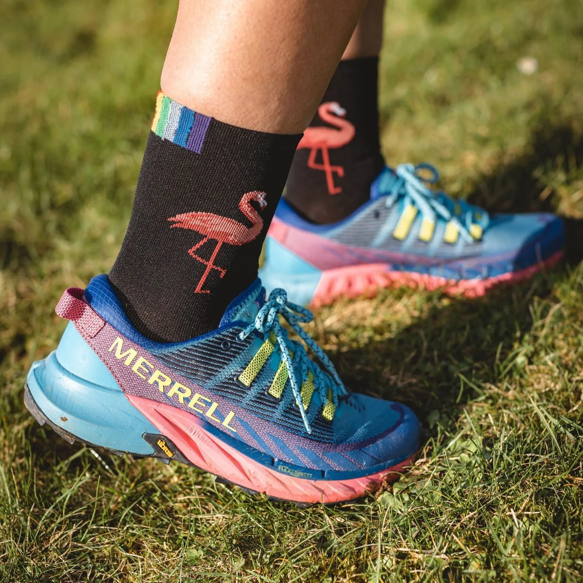 Rainbows Paire de Chaussettes - Rosa the Flamingo