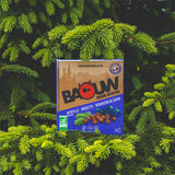 Nutri-Bucht | BAOUW Bio-Energieriegel (25 g) Blaubeer-Haselnuss-Tannen-Knospe