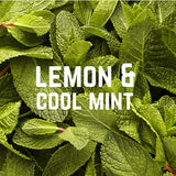 Nutri-bay | VELOFORTE Fresco Natural Energy Chews (50g) - Lemon & Cool Mint